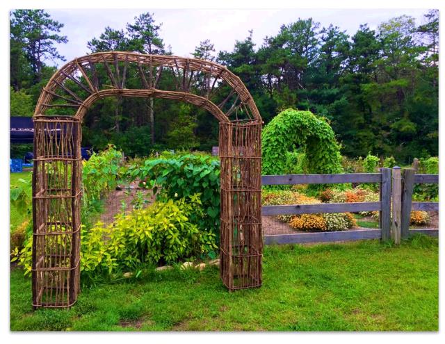 Rental store for Twig Arbor 8 H x 7.5 W in Plymouth MA