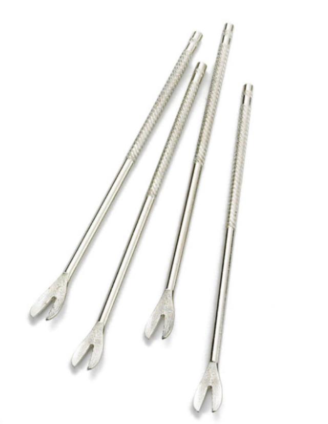 Rental store for SHELLFISH PICK in Plymouth MA